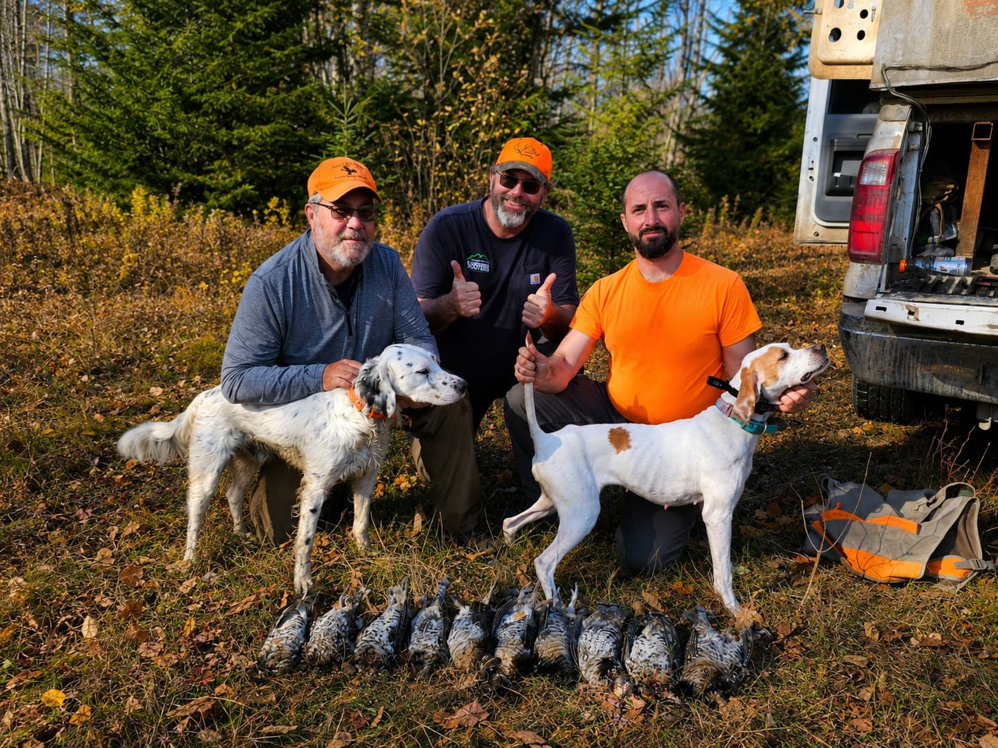 Upland Birds