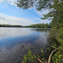 Crystal blue lake in summer