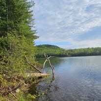 Lake nestled below forested hills