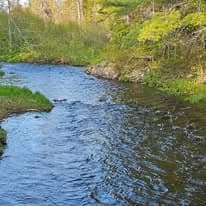 River winding through the north woods